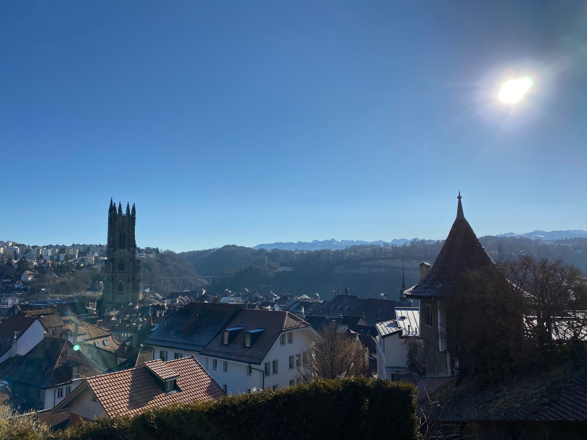 B0B68790-91B5-44B3-9D10-A2D1F8710F68.jpeg
