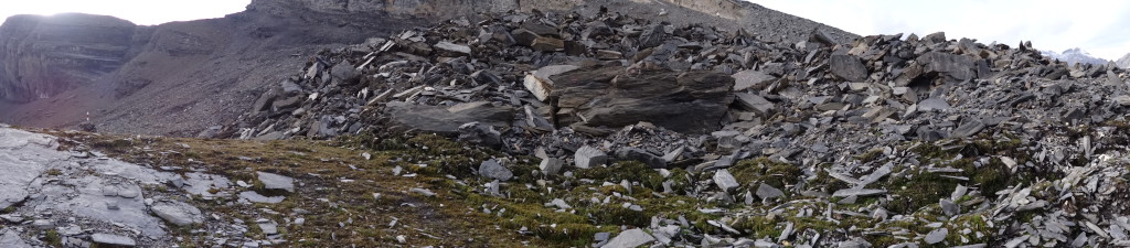 Der Blockgletscher «Gemmi/Furggentälti», im Hintergrund die «Plattenhörner»