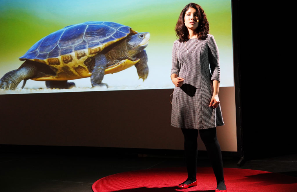 Rafaella Garbin, gagnante de l'édition 2018, ouvre le bal avec son exposé sur les carapaces de tortues.