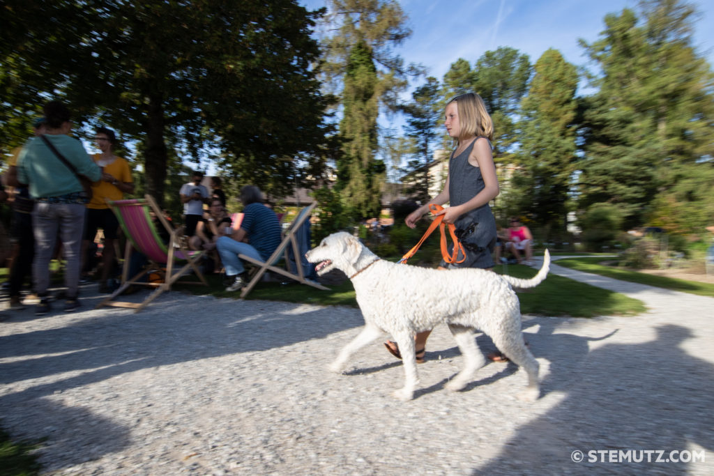 Les Digitales 2019 by STEMUTZ, Jardin botanique Fribourg, 14.09.