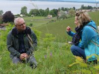 Excursion à „La Mecque“ des orchidées