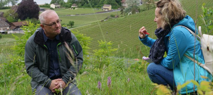 Excursion à „La Mecque“ des orchidées