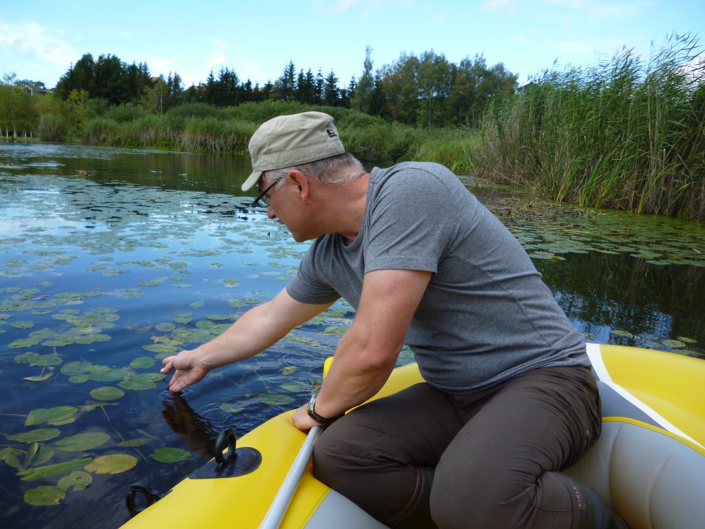 Travail de terrain |  Nuphar pumila | Copyright: Jardin botanique