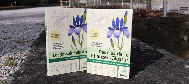 «Il fallait être fou pour inventer une terminologie aussi carabinée»