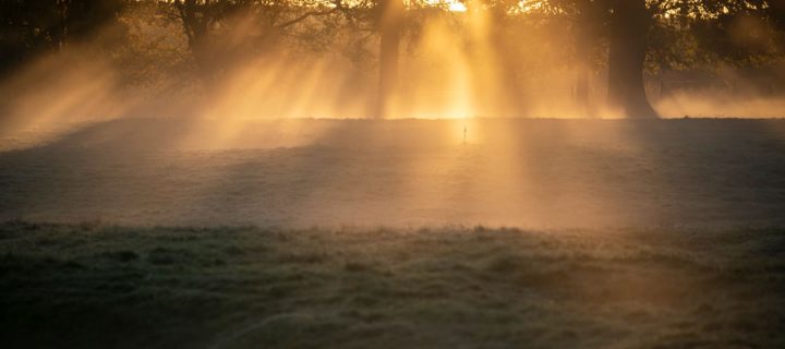 Warum Lichttherapien gegen Depressionen helfen können