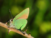 Une recherche haute en couleurs