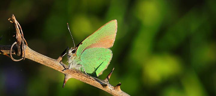 Une recherche haute en couleurs