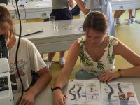 La science de l’engagement démocratique