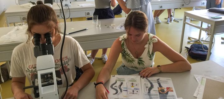 La science de l’engagement démocratique