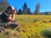 Concours photographique: un chercheur fribourgeois fait rayonner une mousse méconnue