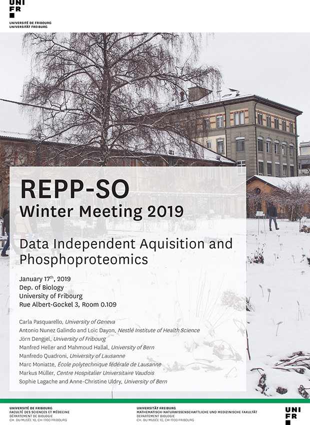 REPP-SO Meeting 2019