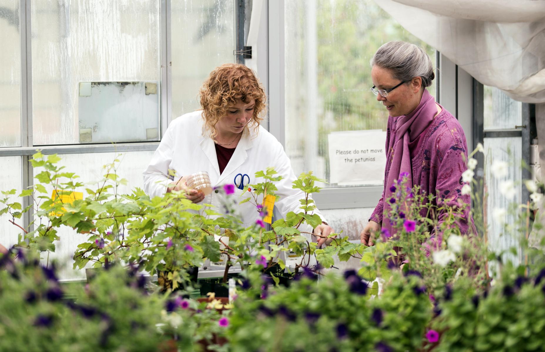 Tending to plants