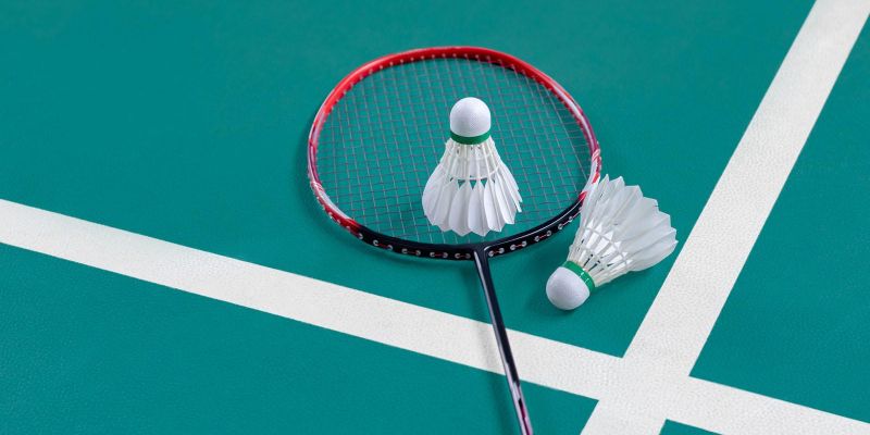 <p>Didactique des sports de raquette au cycle 2 : l’exemple du badminton</p>