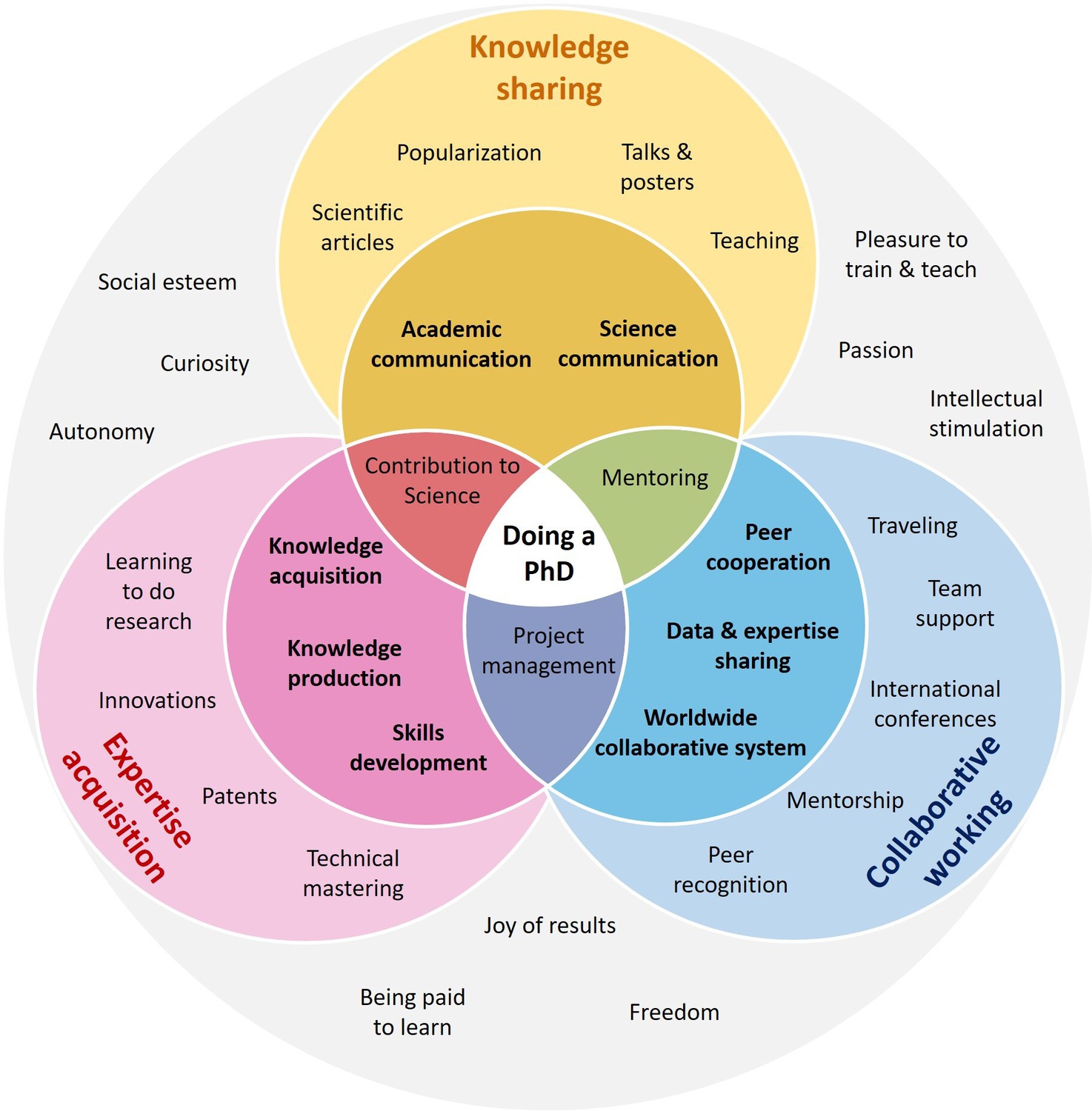 Reasons for doing a PhD