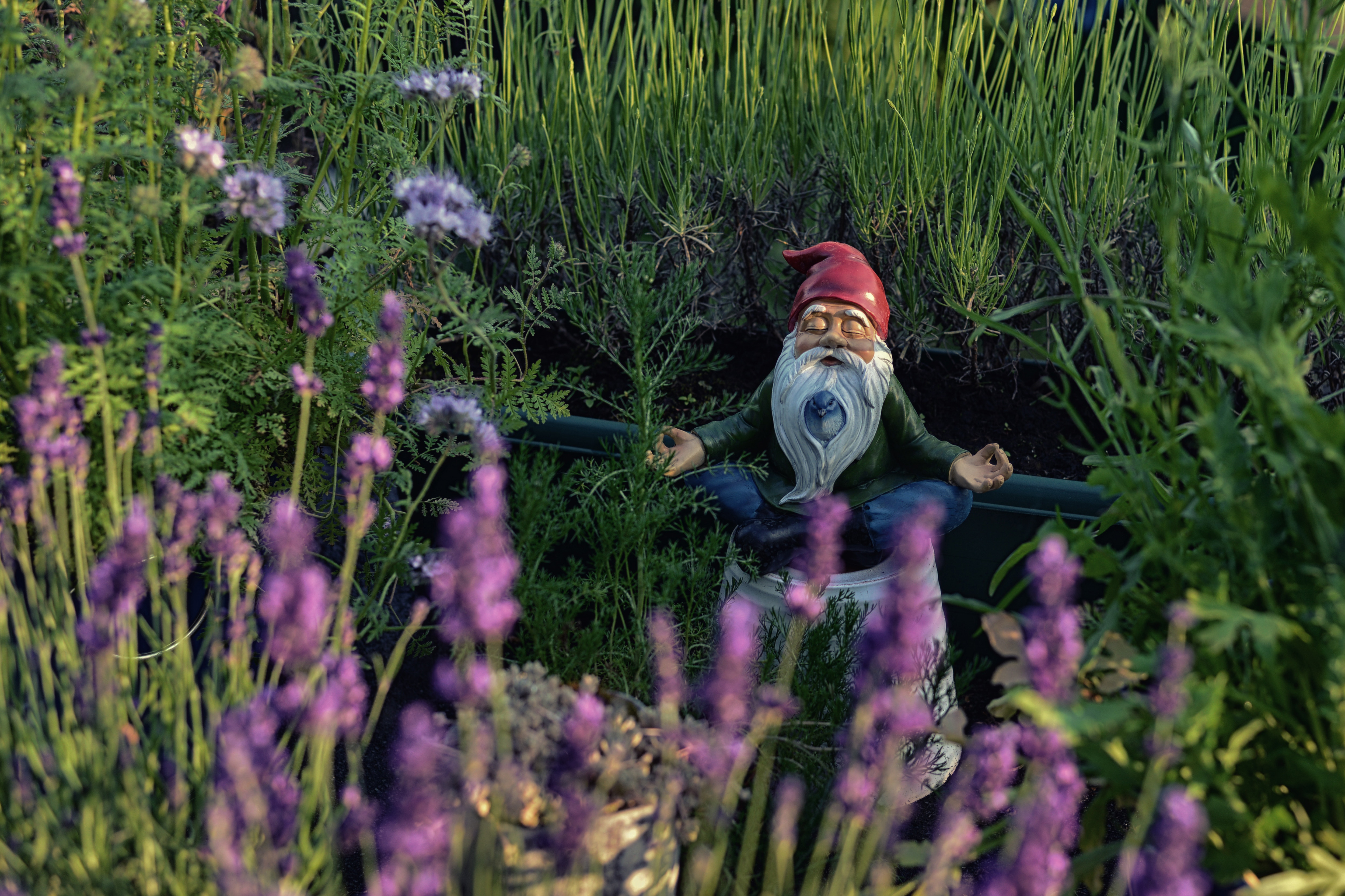 MeditationTroll.jpg